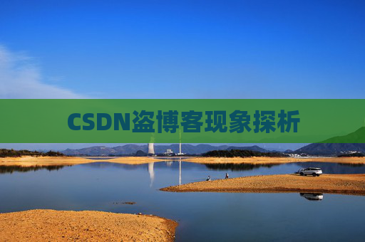 CSDN盗博客现象探析